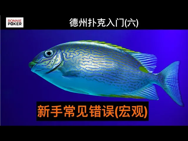 德信扑克学院
